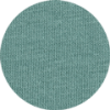 Teal Monstera (C060)